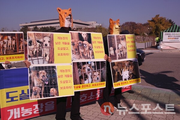 8일 서울 여의도 국회의사당 앞에서 한국동물보호연합 회원들이 개 형상의 가면을 쓰고 개 도살 금지 및 개 농장 보호소 전환 퍼포먼스를 벌이고 있다. (사진=뉴스포스트 이별님 기자)