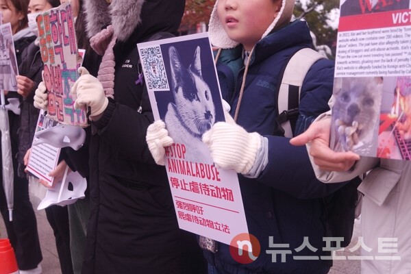 28일 서울 중구 서울중앙우체국 정문 앞에서 진행된  '중국의 고양이 고문살해단 강력 처벌 및 동물보호법 제정 촉구 집회'에서 어린이 동물보호 활동가가 피켓을 들었다. (사진=뉴스포스트 이별님 기자)