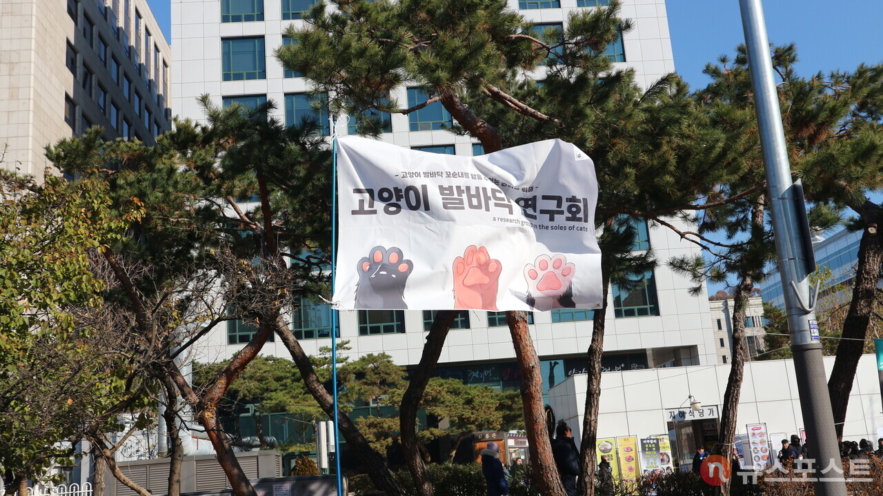 (2024년 12월 14일) '고양이 발바닥 연구회' 깃발. (사진=뉴스포스트 강대호 기자)