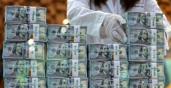 서울 중구 하나은행 위변조대응센터에서 직원이 달러화를 살펴보고 있다. (사진=뉴시스)