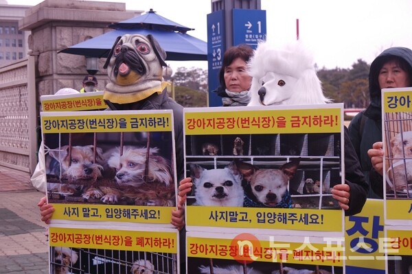 18일 서울 여의도 국회의사당 앞에서 동물보호단체 회원들이 반려견 가면을 쓰고 반려동물 번식장 금지를 촉구하는 퍼포먼스를 벌이고 있다. (사진=뉴스포스트 이별님 기자)