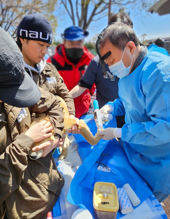 유한양행 산불피해 동물 구조 및 치료 지원 현장 (사진=유한양행)
