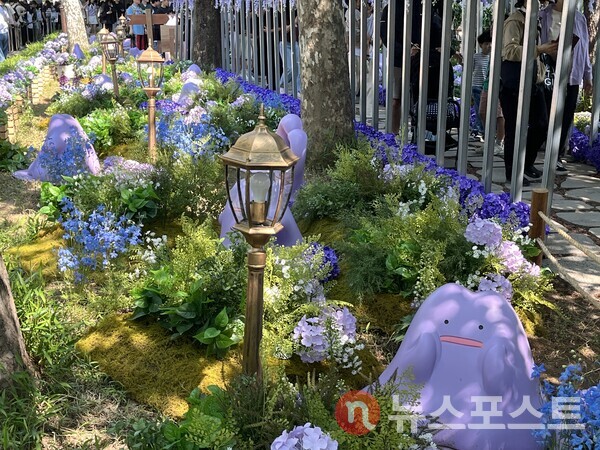 잠실에서 이사 온 메타몽들. (사진=김윤진 기자)