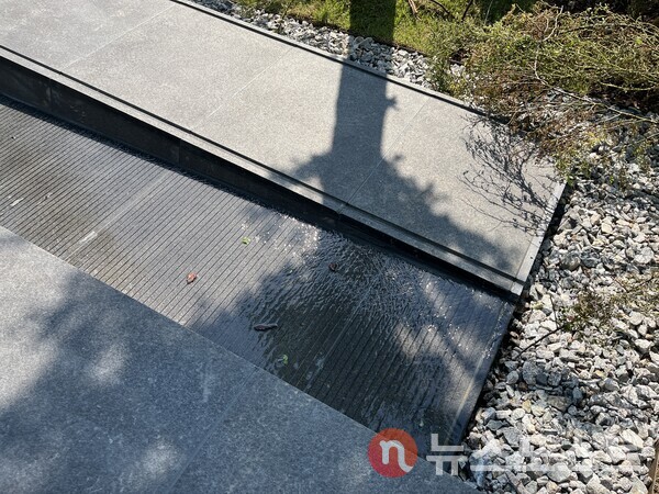 아이들이 발을 담그고 놀던 물길. (사진=김윤진 기자)