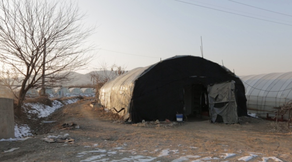 섹 알 마문 감독의 '비닐하우스는 집이 아니다' 포스터 (사진=네이버)