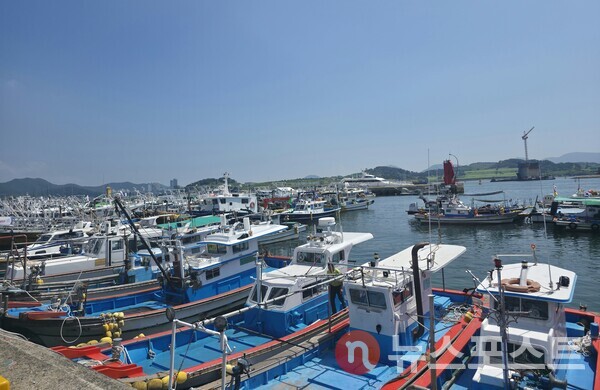 여수어항단지 전경. (사진=뉴스포스트 최종원 기자)