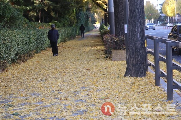 (사진=뉴스포스트 이별님 기자)